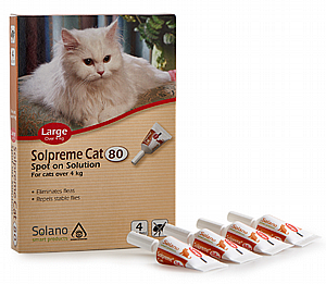 SOLANO ���� 4 ������� ������ ��� 25< �"� L 4 ������