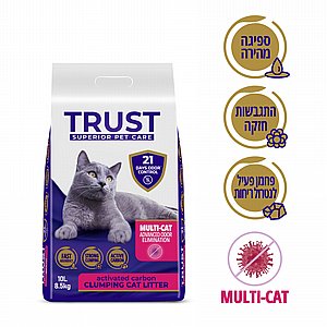 ��� ����� ����� ������ ����� ����� �� 10 ���� 