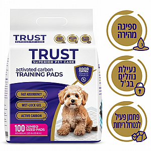 ����� ���� ����� ������ 100 ������