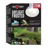 ���� W25 Frosted Daylight Bulb R 1 �����
