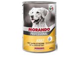 MORANDO �������� ���� ���� ��� ����� 400 ���