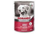 MORANDO �������� ���� ���� ����� 400 ���