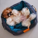������ ��� ������� ������ ���� ���� L 1 �����