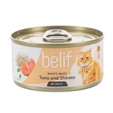 BELIF ����� ���� ���� ����� ���� ������ ����� 80 ���