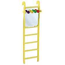 ����� �������� ���� ����� 1 ����� 