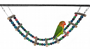 POPETS ��� ������ �������� 1 ����� 