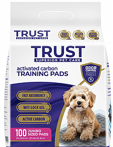 ����� ���� ���� (������ ���) 100 ����� 