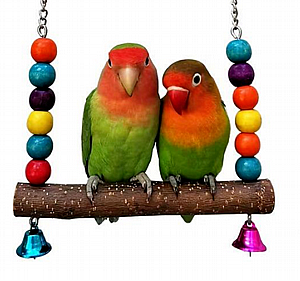 POPETS ����� �������� M 1 ����� 