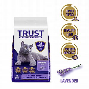 ��� ����� ����� ������ ����� ���� ����� 10 ���� 