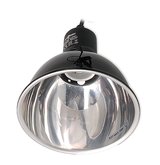 ��� ����� ���� �� ������� ���������� 14 �"� repti 1 �����