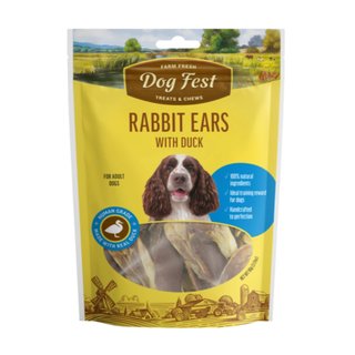 Dog fest ���� ����� ���� �� ��� ����� 90 ���