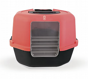 �� ��� ������ ������� ���� -��� 1 ����� 