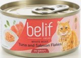 BELIF ����� ���� ���� ���� ������ ����� ����� 80 ���