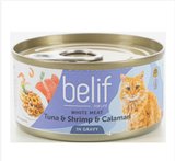 BELIF ����� ���� ���� ���� ������ ������ ����� 80 ���