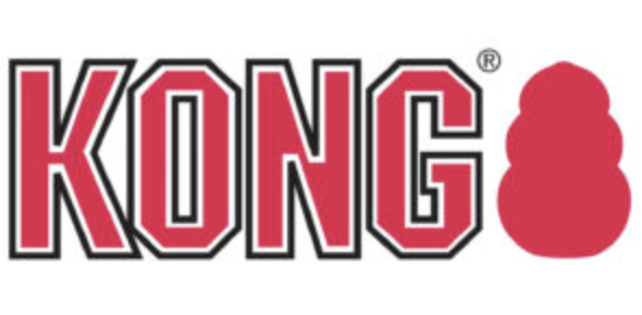 ���� - Kong