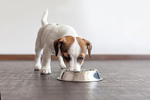 ���� ������ ����� - �� ����� �� ����� ����� ���� ����