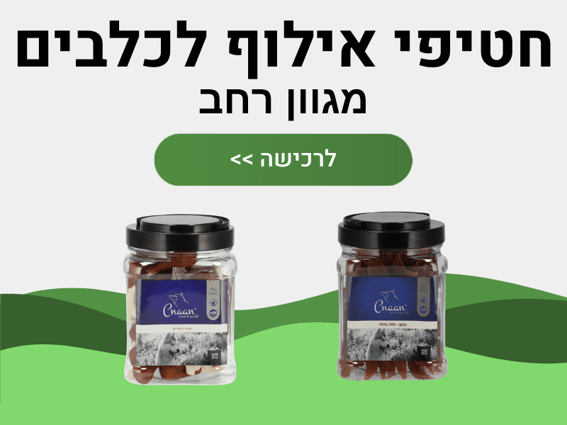 חטיפי אילוף לכלבים