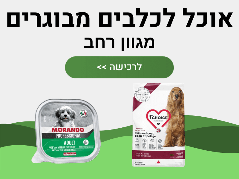אוכל לכלבים מבוגרים