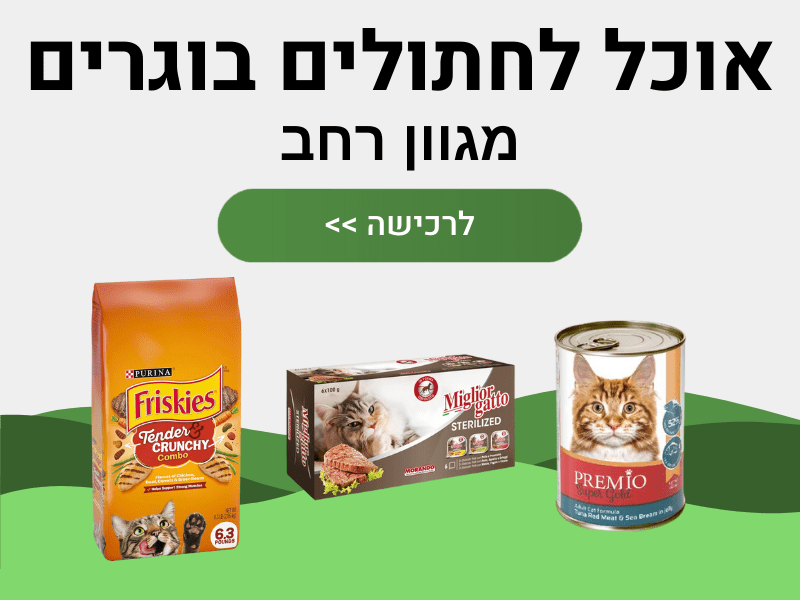 אוכל לחתולים בוגרים