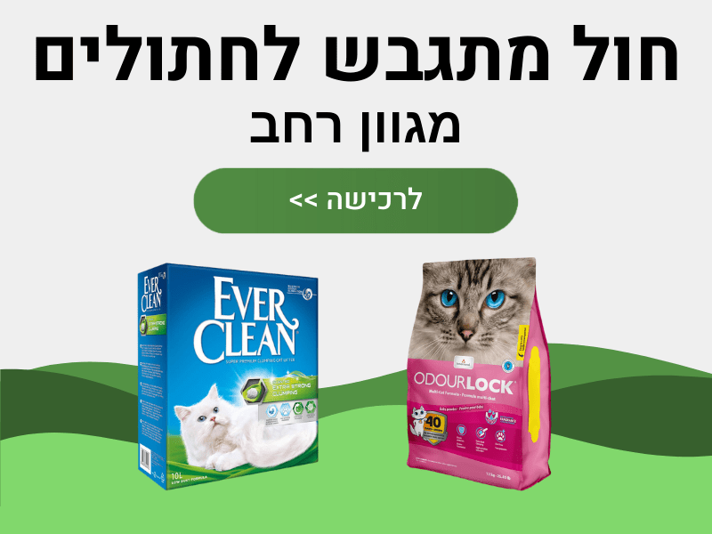 ��� ����� �������