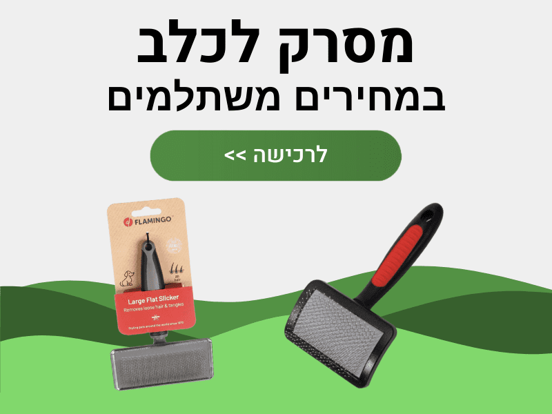 מסרק לכלב