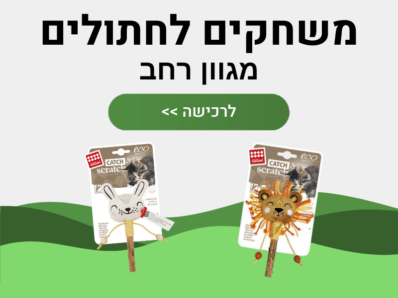 משחקים לחתולים
